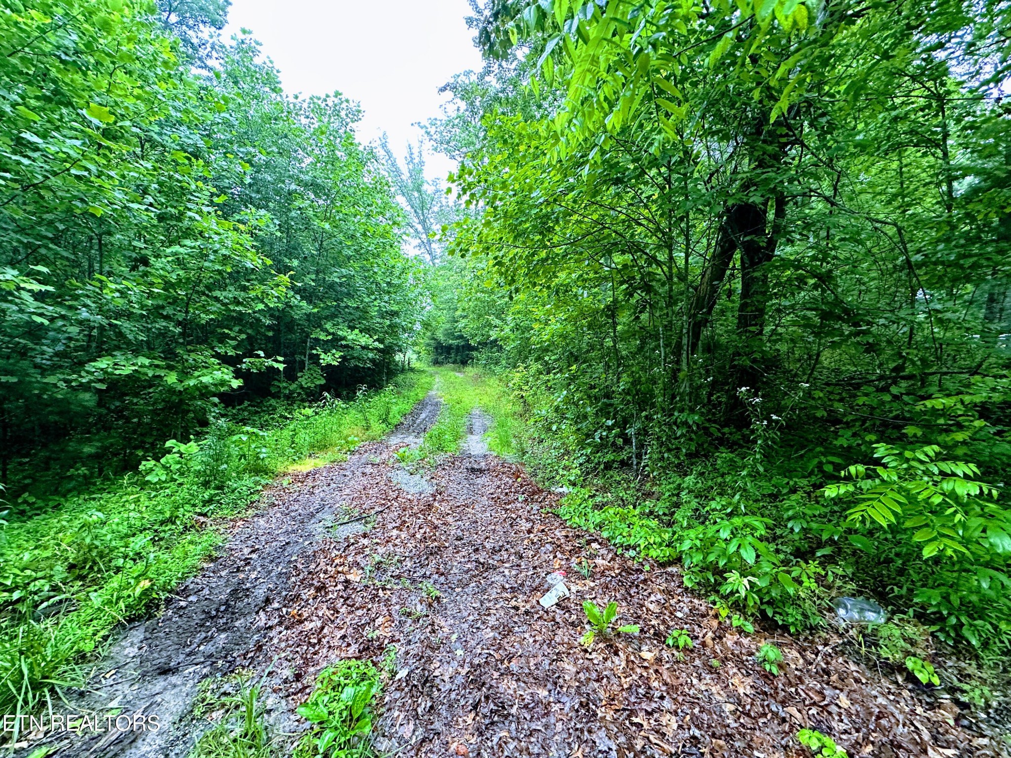 1344 Chestnut Ridge Road Allardt, TN 38504 - Photo 8 of 8