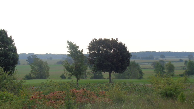 7192 Ida Red Road Egg Harbor, WI 54209 - Photo 1 of 1