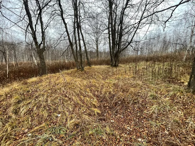 $150,000 | Tbd (parcel C) Tbd (parcel C) Olson Road, Hinckley, MN 55037