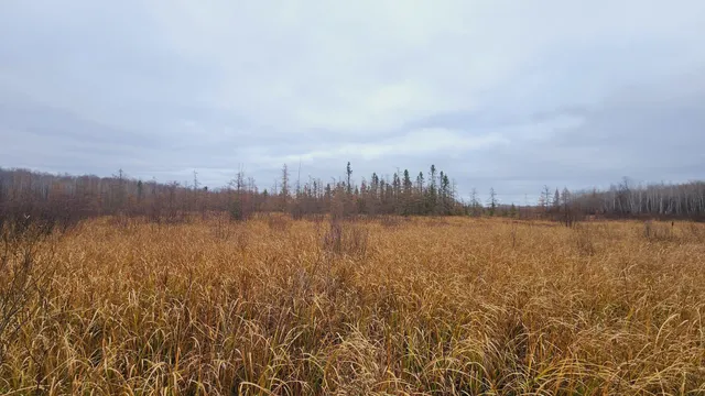 $150,000 | Tbd (parcel C) Tbd (parcel C) Olson Road, Hinckley, MN 55037