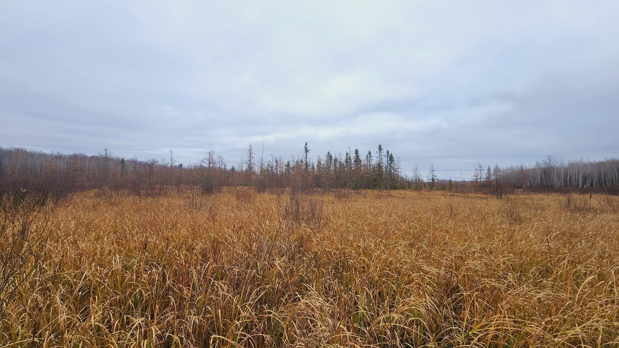 Tbd (parcel C) Tbd (parcel C) Olson Road Hinckley, MN 55037 - Photo 13 of 18