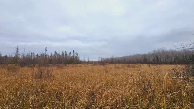 $150,000 | Tbd (parcel C) Tbd (parcel C) Olson Road, Hinckley, MN 55037