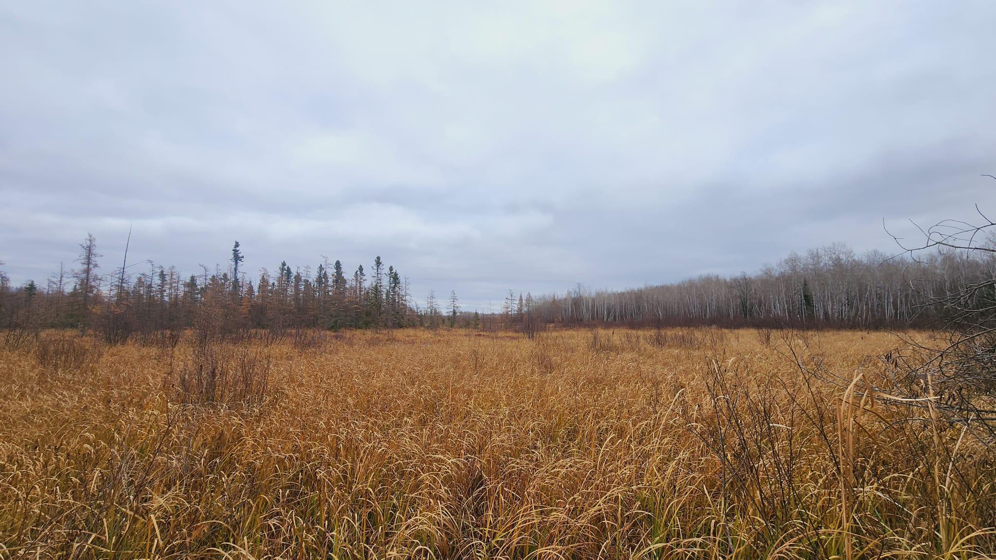 Tbd (parcel C) Tbd (parcel C) Olson Road Hinckley, MN 55037 - Photo 14 of 18