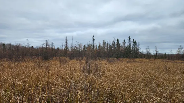 $150,000 | Tbd (parcel C) Tbd (parcel C) Olson Road, Hinckley, MN 55037