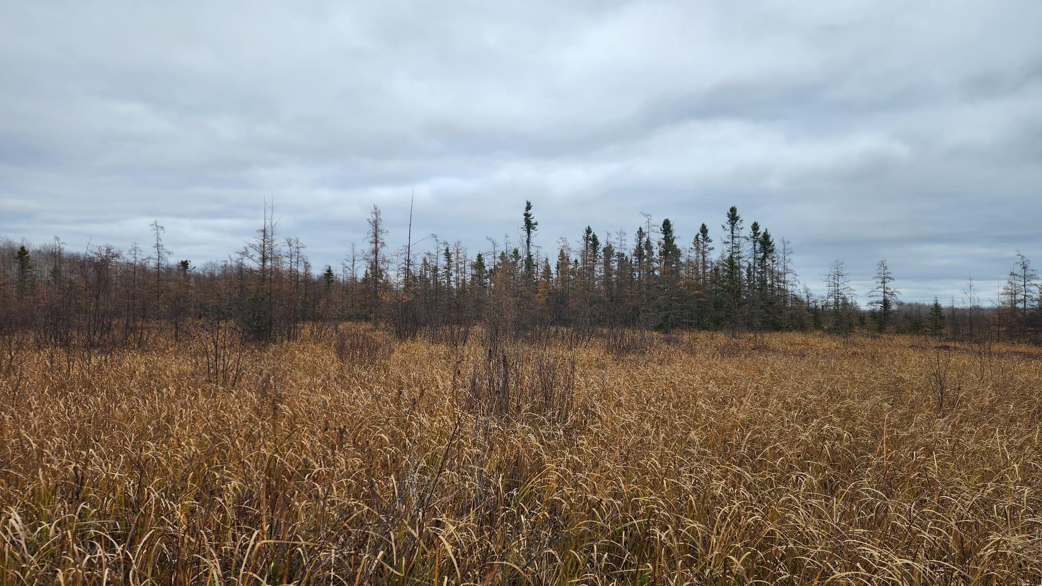 Tbd (parcel C) Tbd (parcel C) Olson Road Hinckley, MN 55037 - Photo 16 of 18