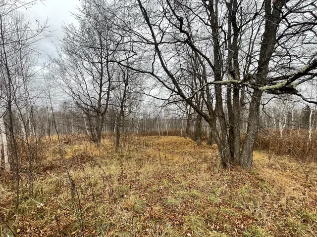 $150,000 | Tbd (parcel C) Tbd (parcel C) Olson Road, Hinckley, MN 55037