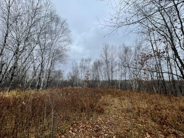 $150,000 | Tbd (parcel C) Tbd (parcel C) Olson Road, Hinckley, MN 55037