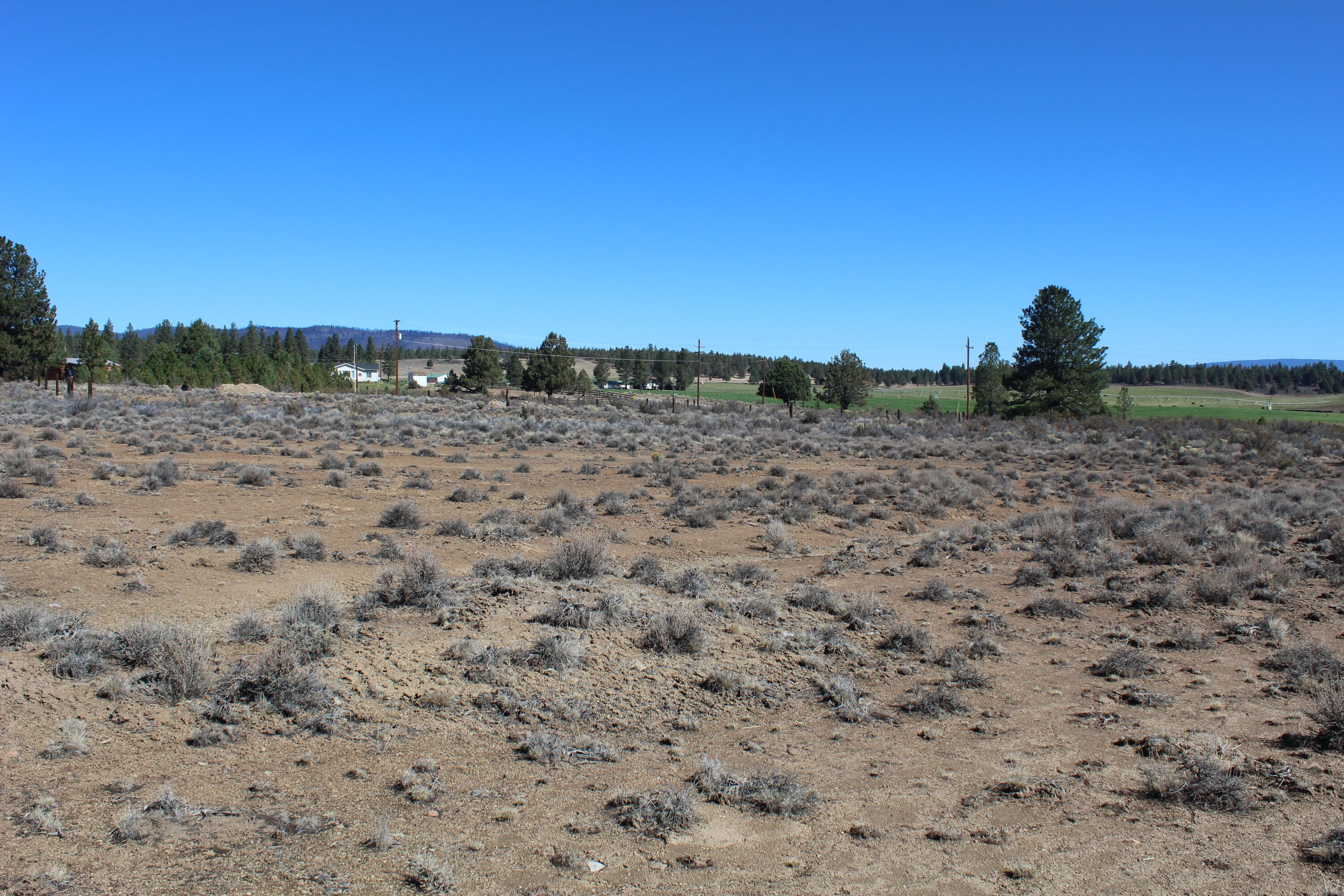 Lot 14 Sycan Road Beatty, OR 97621 - Photo 2 of 3 Looking North from the SW corner of the property.