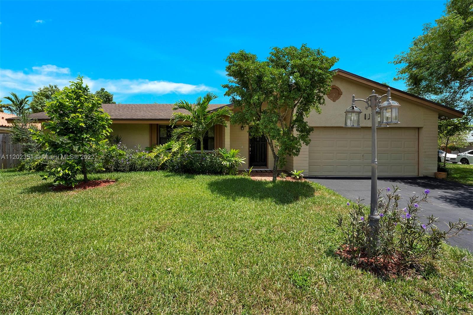 a house that has a tree in front of it