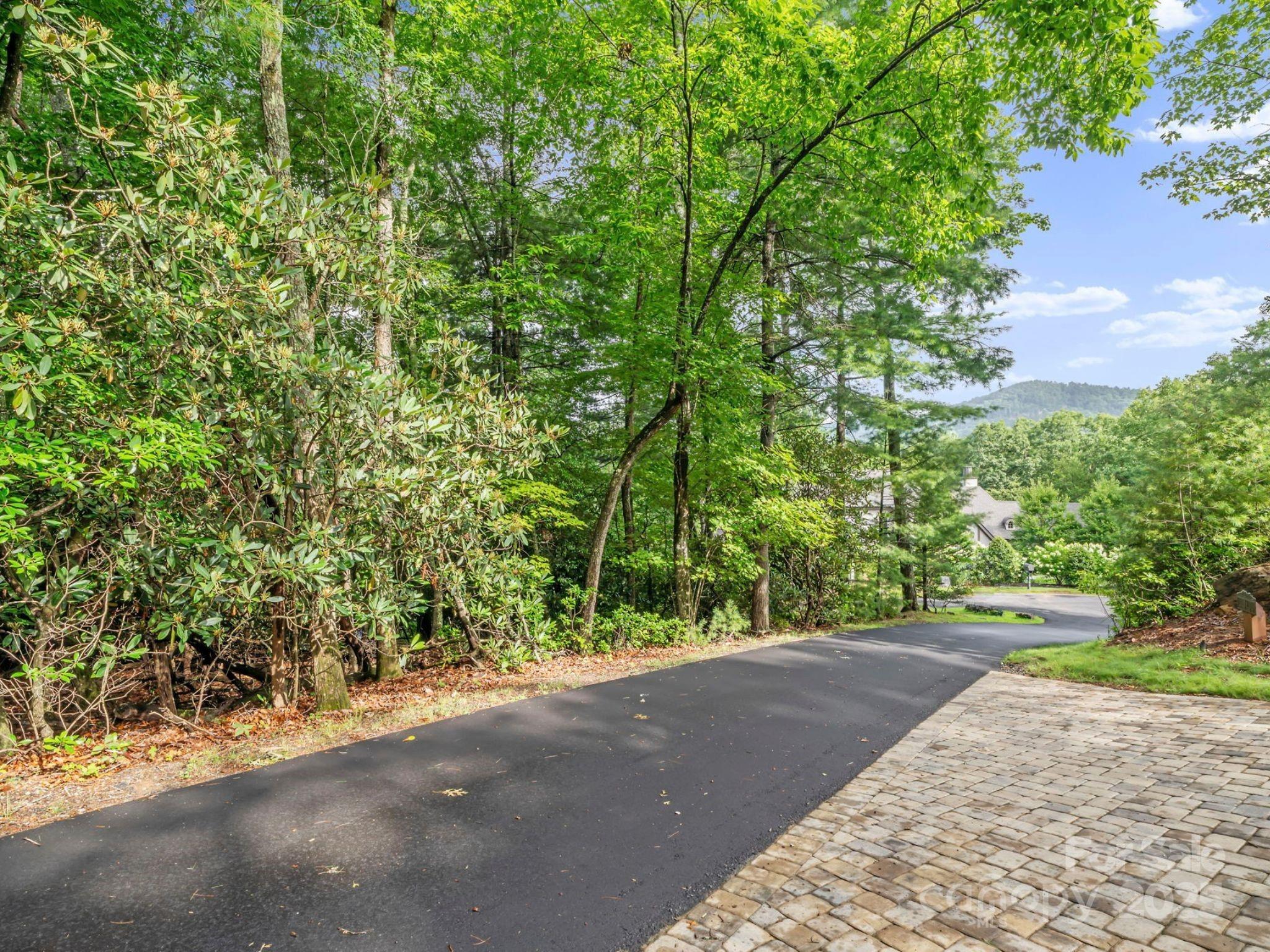 52 Dividing Ridge Trail Arden, NC 28704 - Photo 1 of 19 a view of a yard with plants and trees