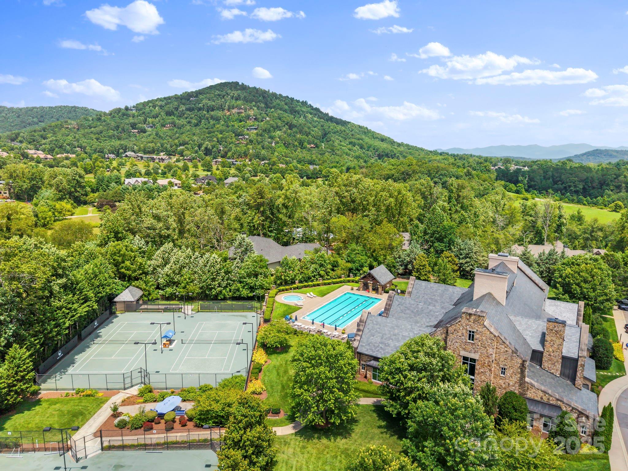 52 Dividing Ridge Trail Arden, NC 28704 - Photo 11 of 19 an aerial view of a house with a garden