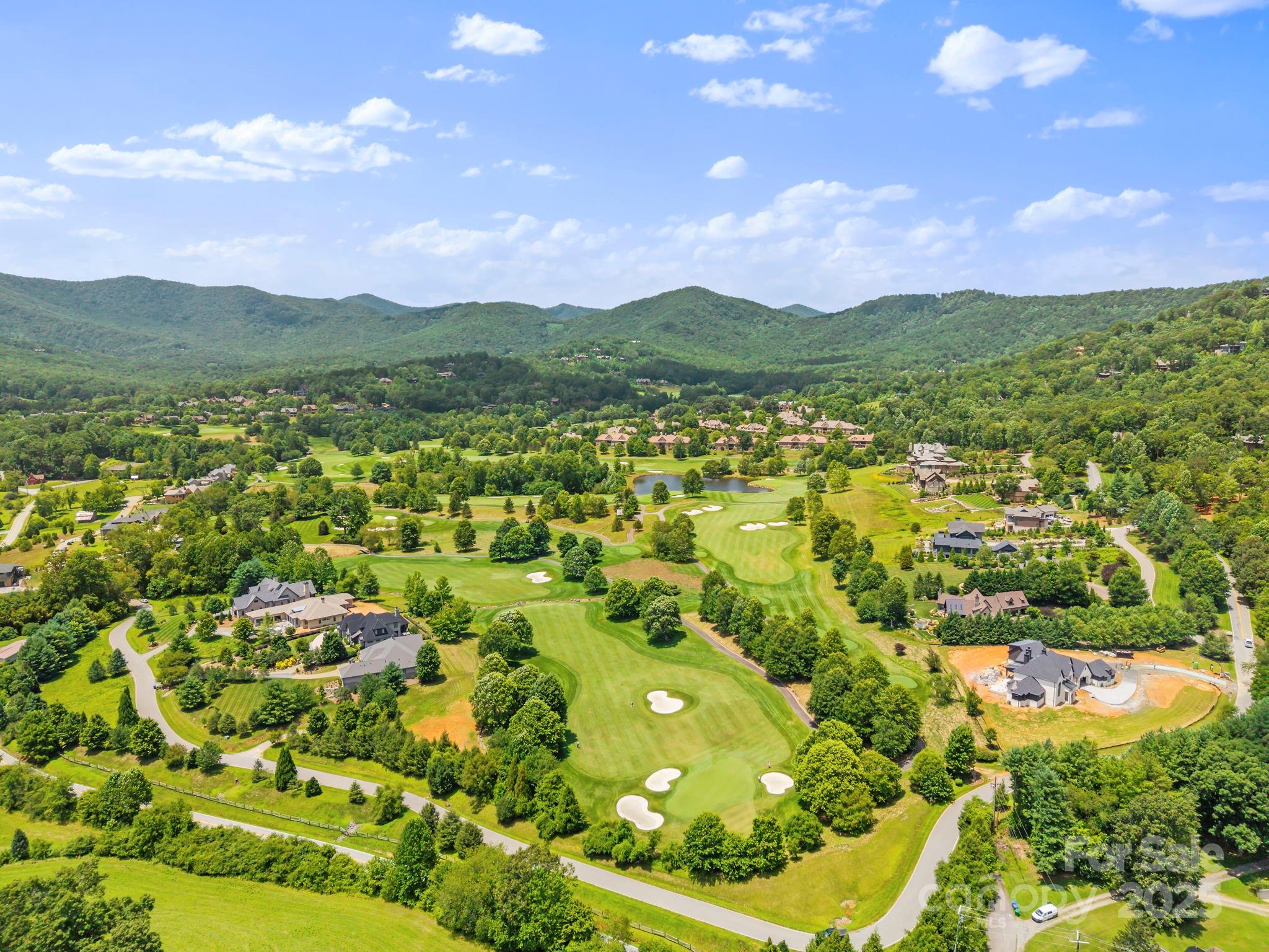 52 Dividing Ridge Trail Arden, NC 28704 - Photo 12 of 19 a view of a city with lush green forest