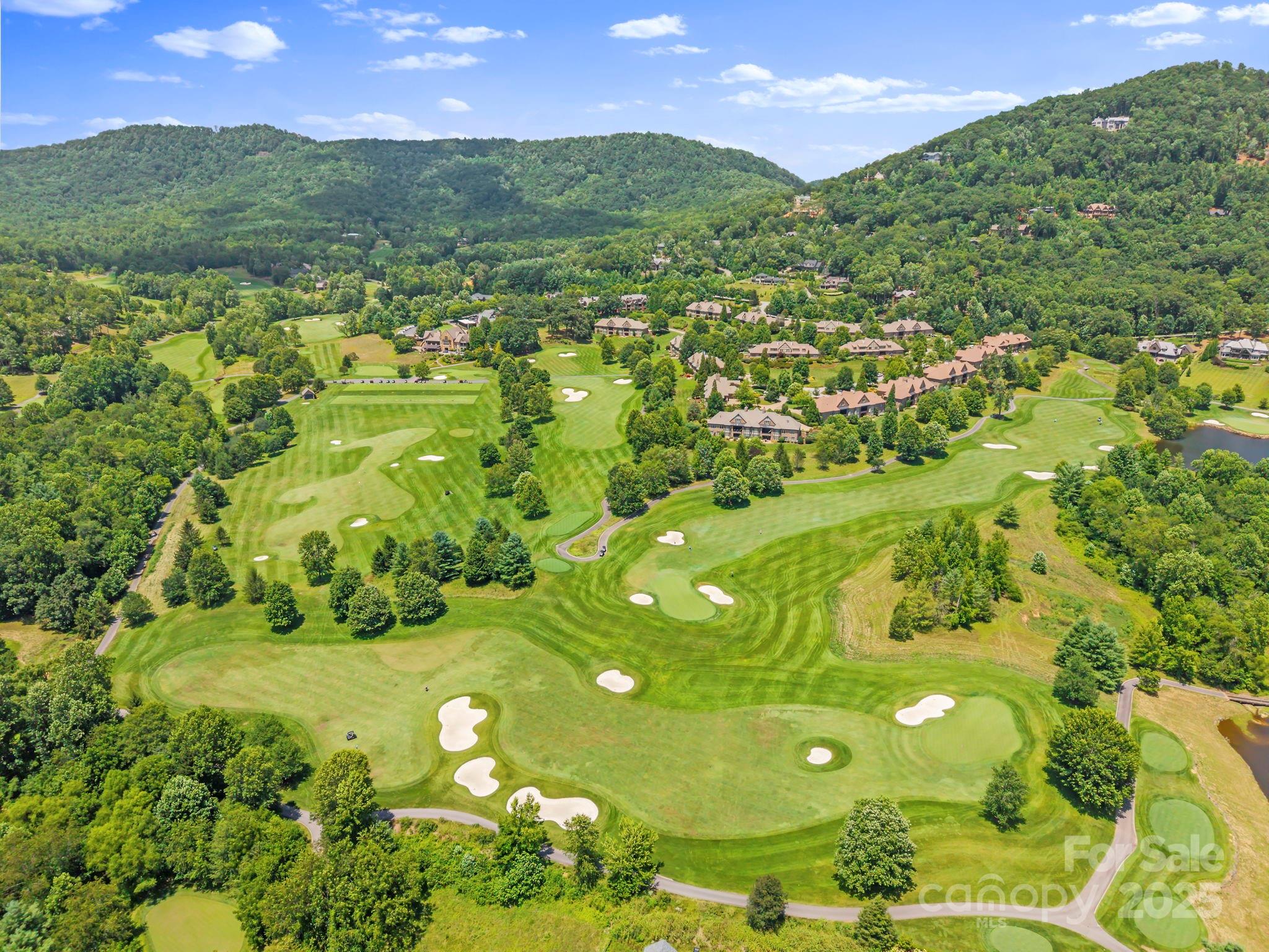 52 Dividing Ridge Trail Arden, NC 28704 - Photo 13 of 19 a view of a garden