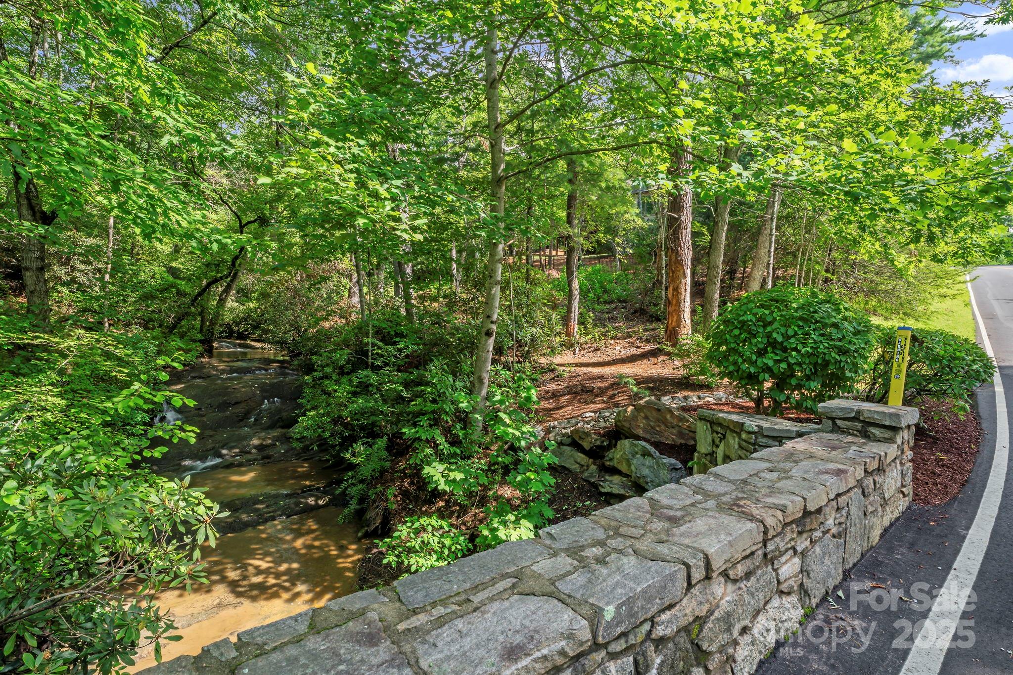 52 Dividing Ridge Trail Arden, NC 28704 - Photo 15 of 19 a view of a backyard with potted plants and large trees
