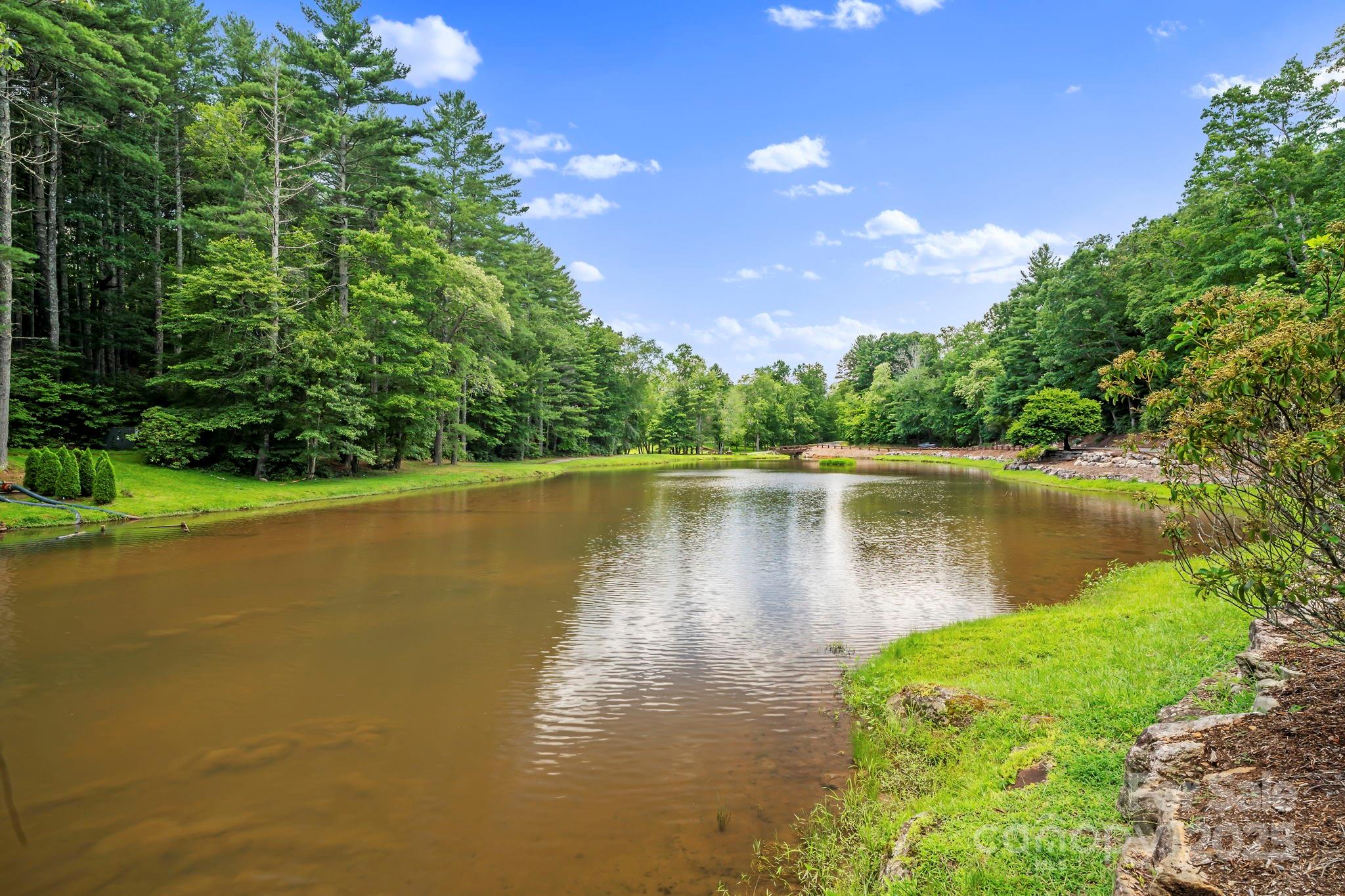 52 Dividing Ridge Trail Arden, NC 28704 - Photo 17 of 19 a view of a lake with a garden