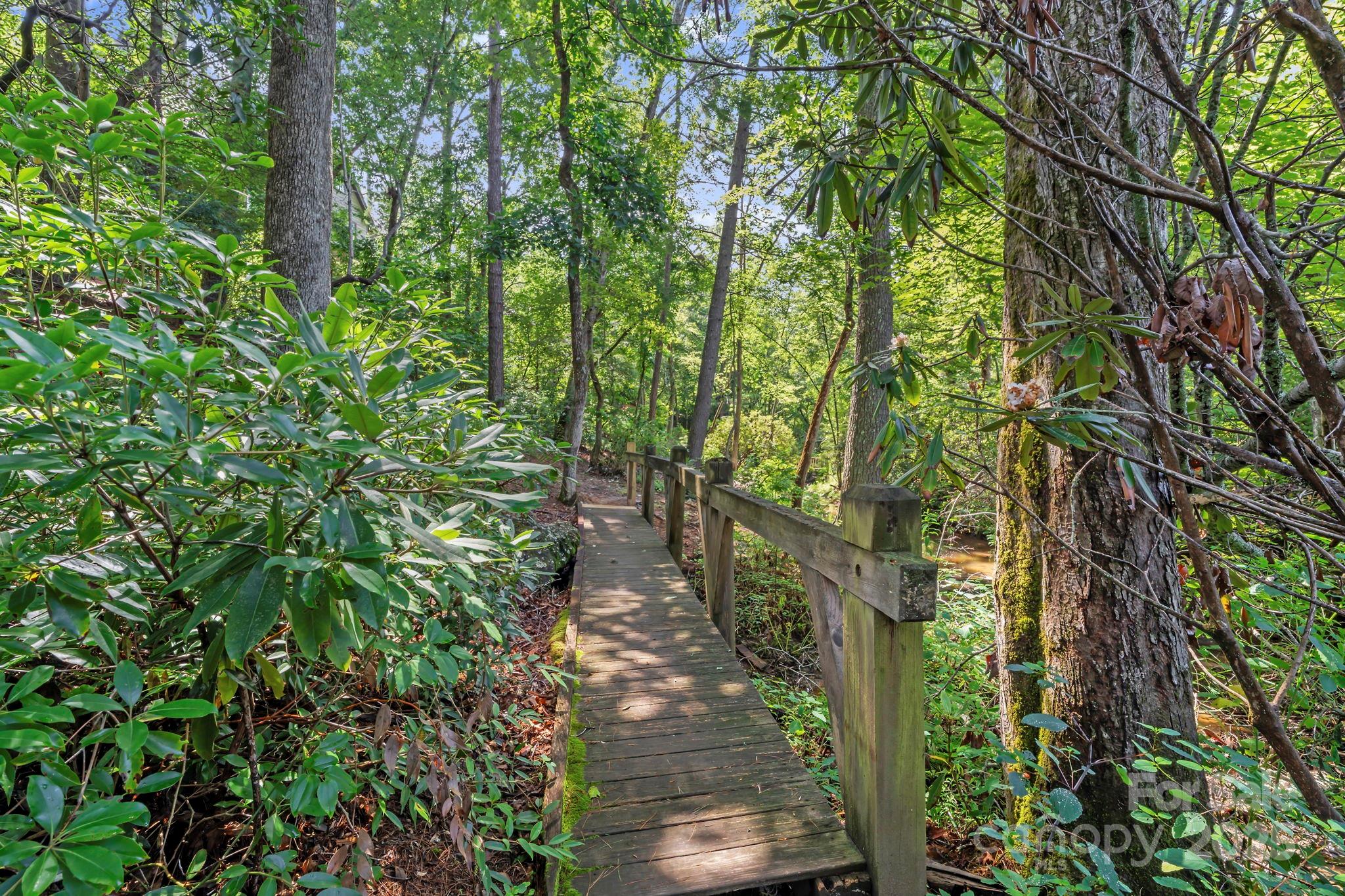 52 Dividing Ridge Trail Arden, NC 28704 - Photo 18 of 19 a backyard of a house with lots of green space