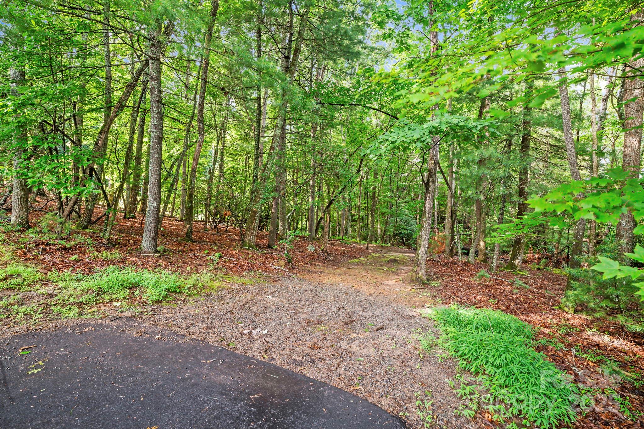52 Dividing Ridge Trail Arden, NC 28704 - Photo 3 of 19 a view of a forest with trees in the background