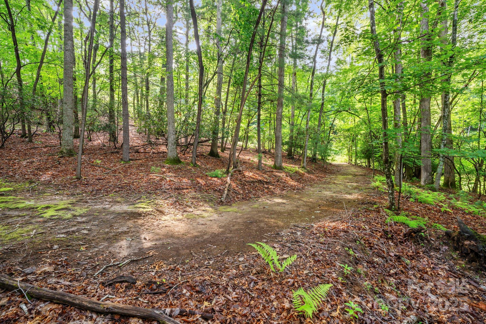 52 Dividing Ridge Trail Arden, NC 28704 - Photo 5 of 19 a backyard of a house with lots of green space