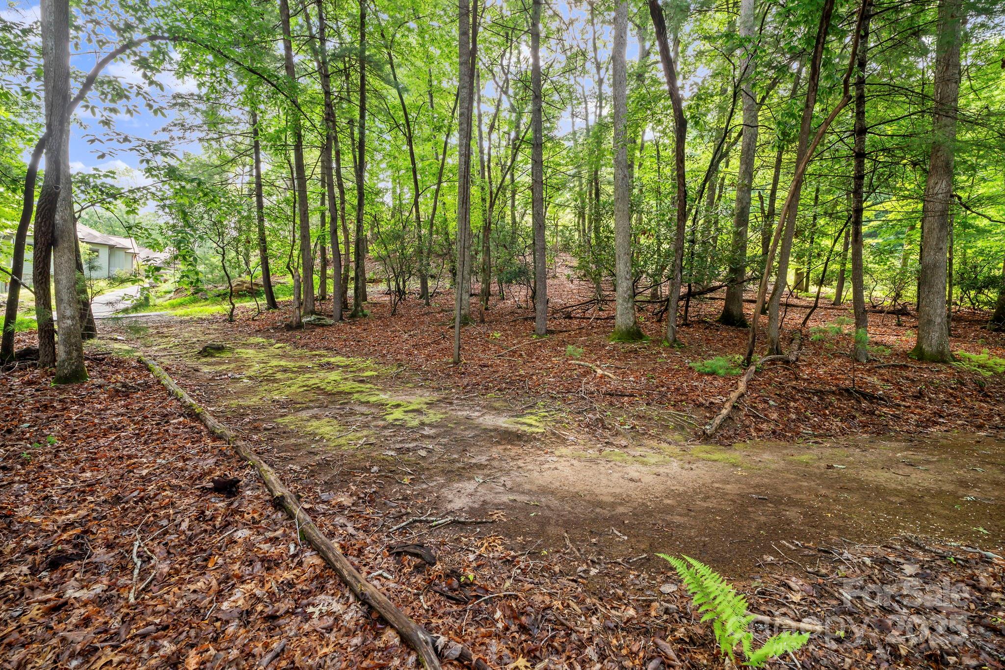 52 Dividing Ridge Trail Arden, NC 28704 - Photo 6 of 19 a backyard of a house with lots of green space