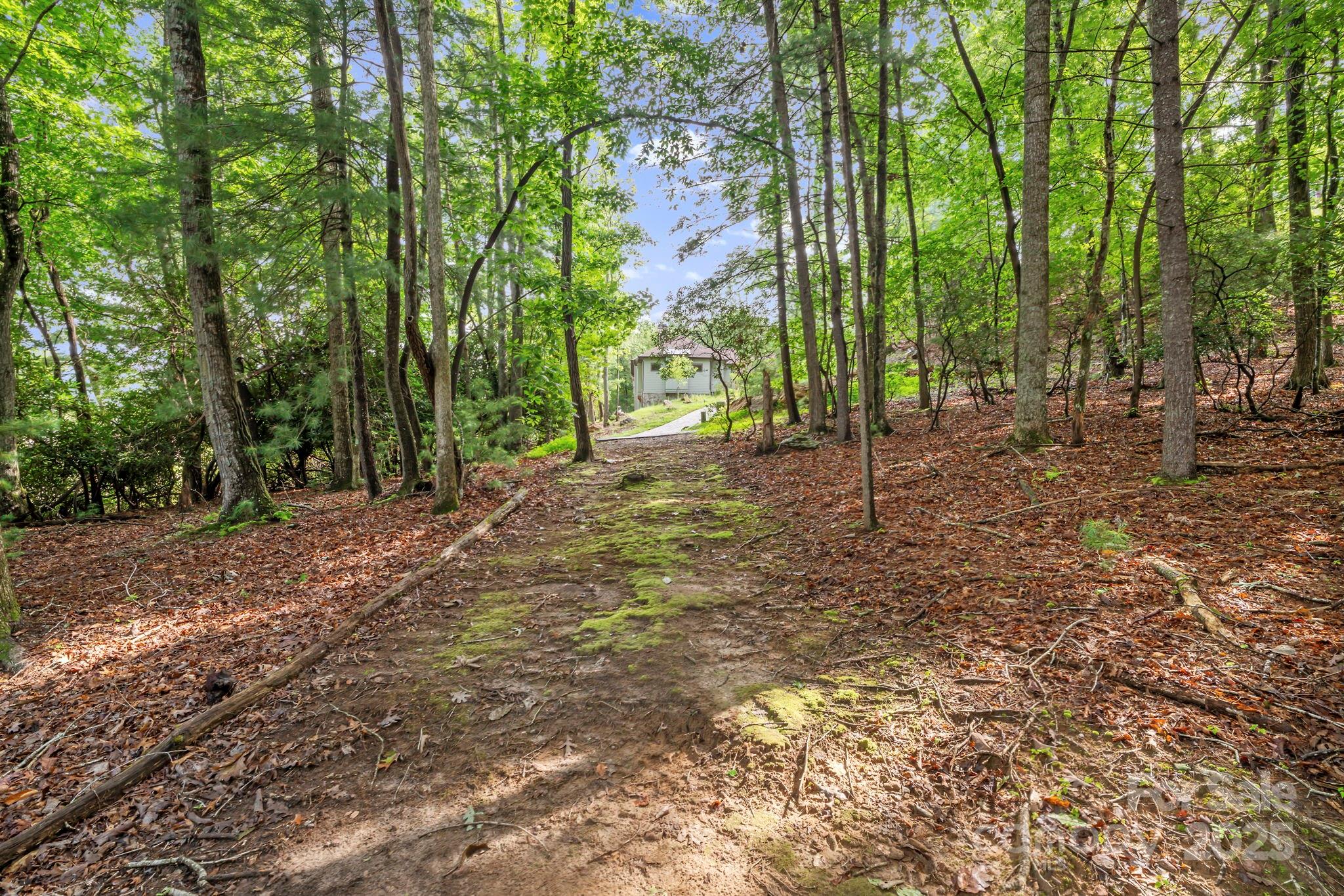 52 Dividing Ridge Trail Arden, NC 28704 - Photo 7 of 19 a view of a yard with trees