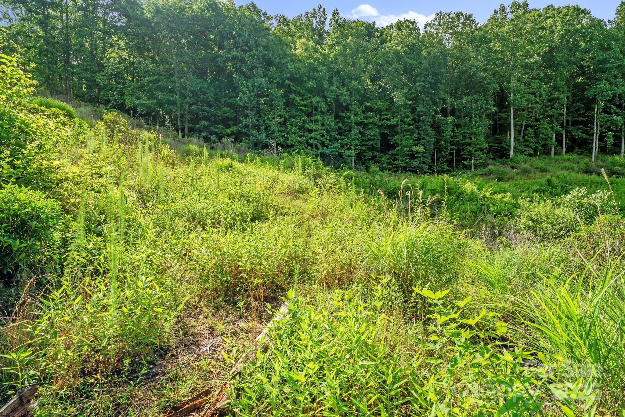 52 Dividing Ridge Trail Arden, NC 28704 - Photo 8 of 19 a view of outdoor space and green space