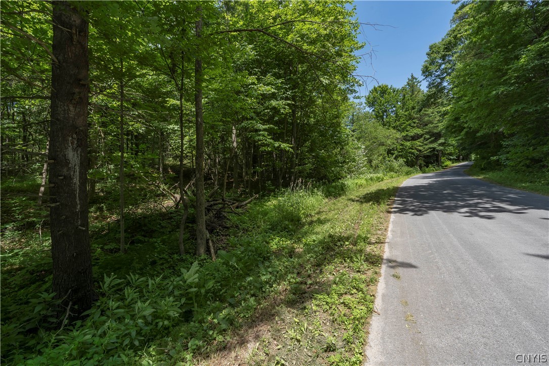 Split Rock Road Hammond, NY 13646 - Photo 2 of 8