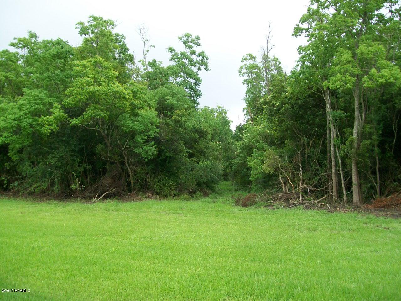 16222A St Elmo Road, Unit A Erath, LA 70533 - Photo 2 of 3 16222A