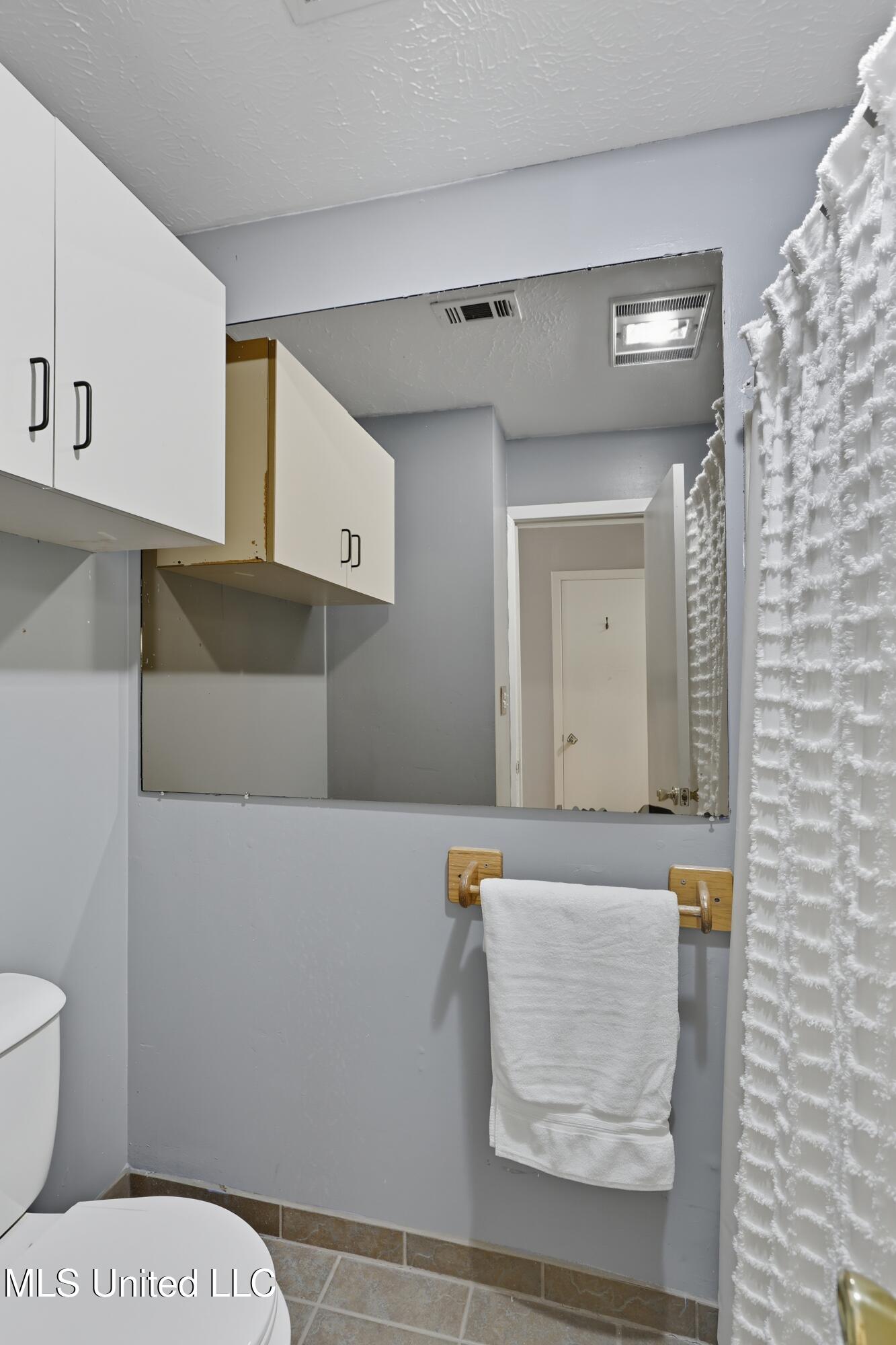 222 Trace Harbor Road Madison, MS 39110 - Photo 23 of 35 222 Trace Harbor Rd \ Home Tours MS (19)