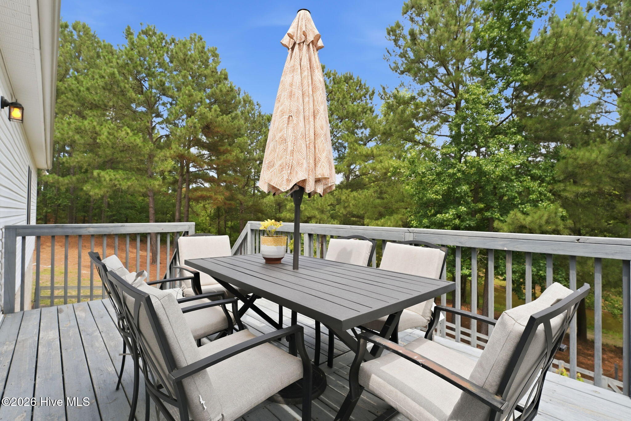 170 Beths Point West End, NC 27376 - Photo 30 of 47