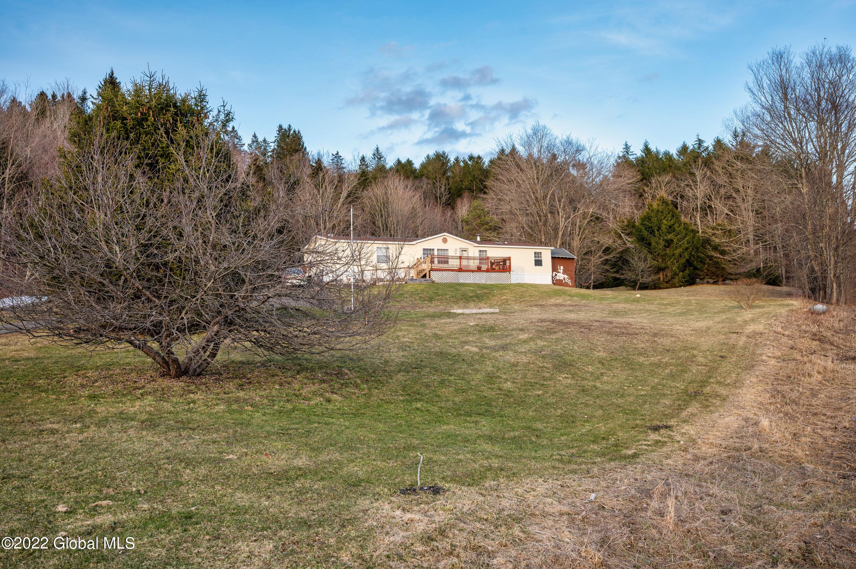 1115 Charlotte Valley Road Summit, NY 12175 - Photo 38 of 50 1115 Charlotte Valley Rd Summit NY photo