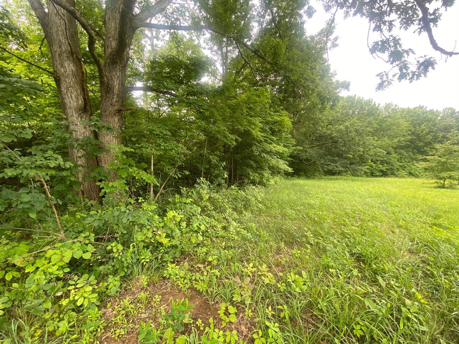 13655 State Rte 41 West Union, OH 45693 - Photo 14 of 25 Gallery Image 14