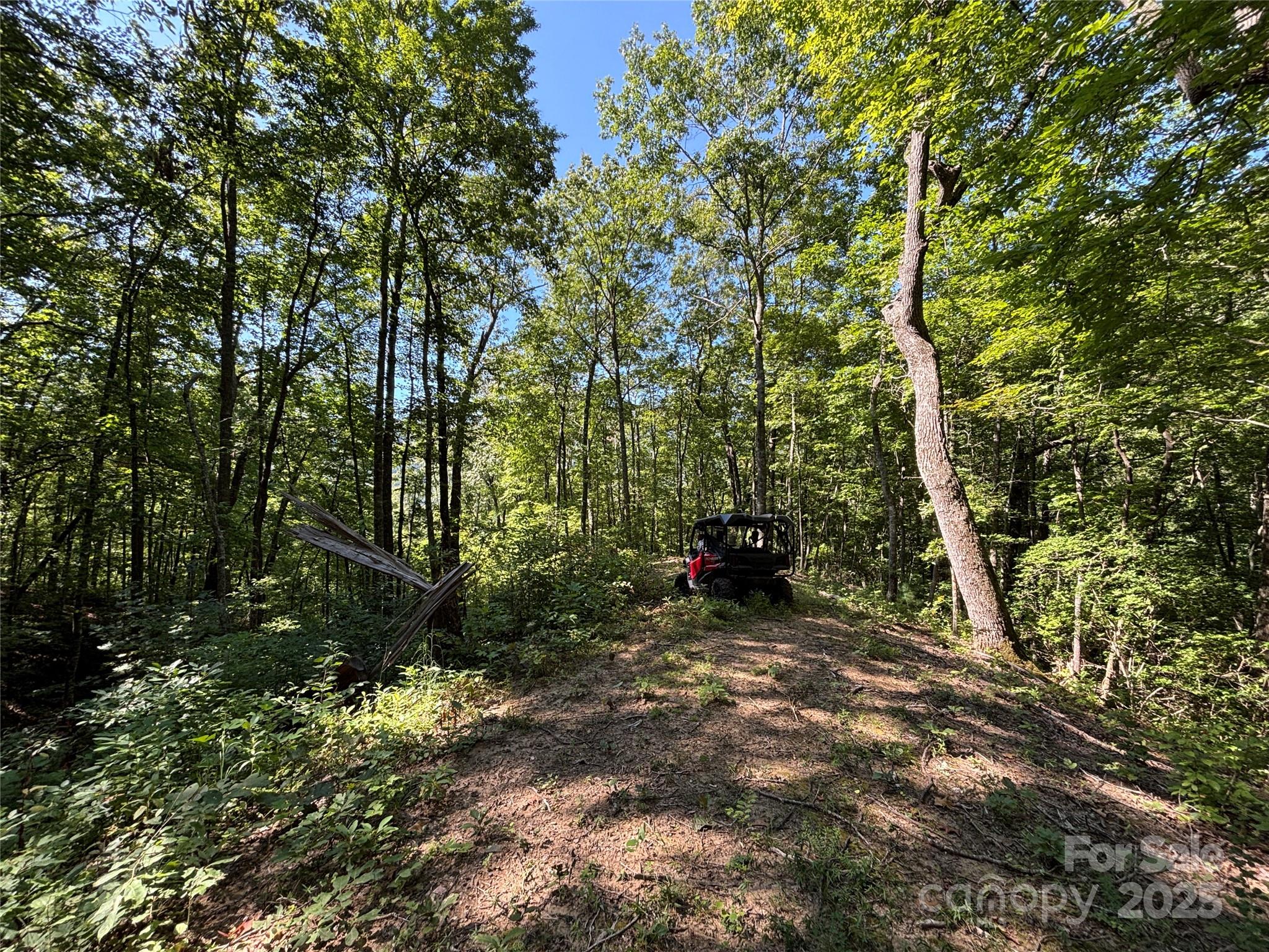 9999 Cindy Cove Road Robbinsville, NC 28771 - Photo 20 of 28