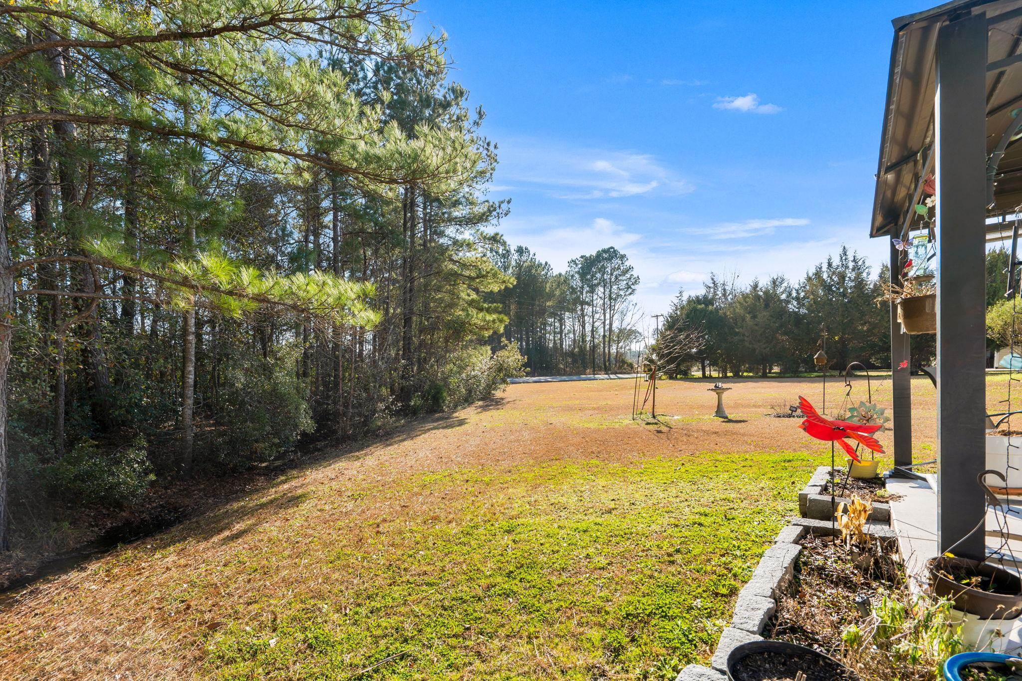 116 Balsa Drive Longs, SC 29568 - Photo 30 of 39