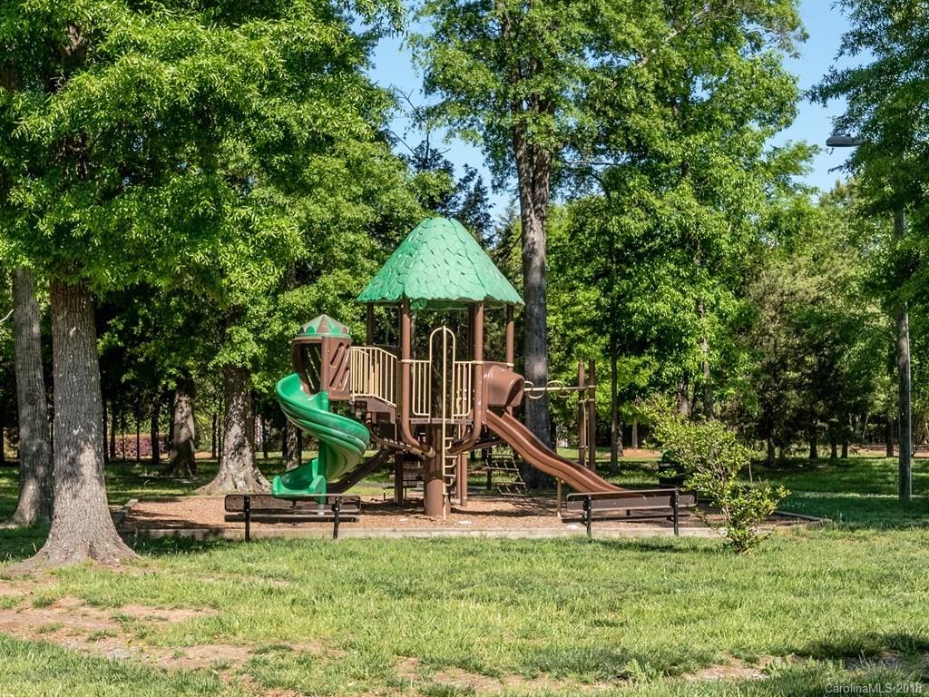 2002 Spanish Moss Road Indian Trail, NC 28079 - Photo 25 of 28 a view of a park with a slide