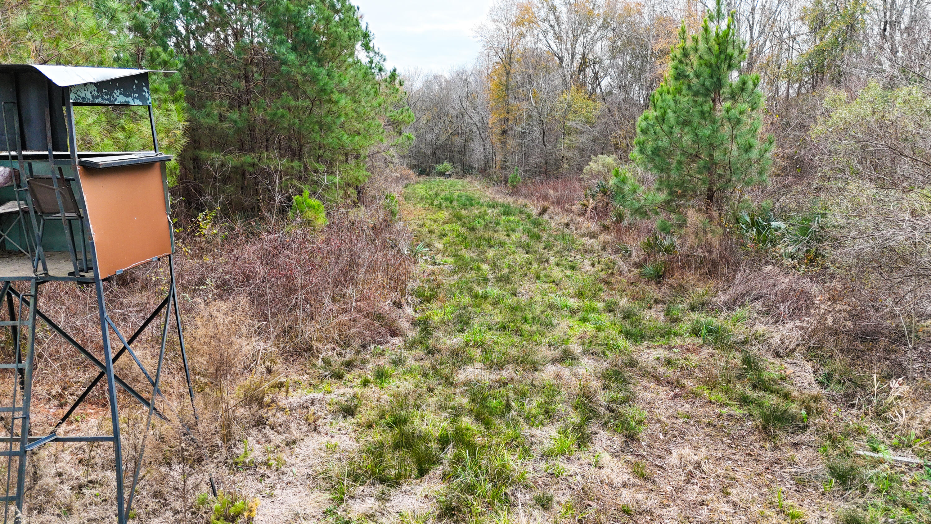 Tbd Tbd Bill Davis Road Summerton, SC 29148 - Photo 31 of 37 Gallery Image 31