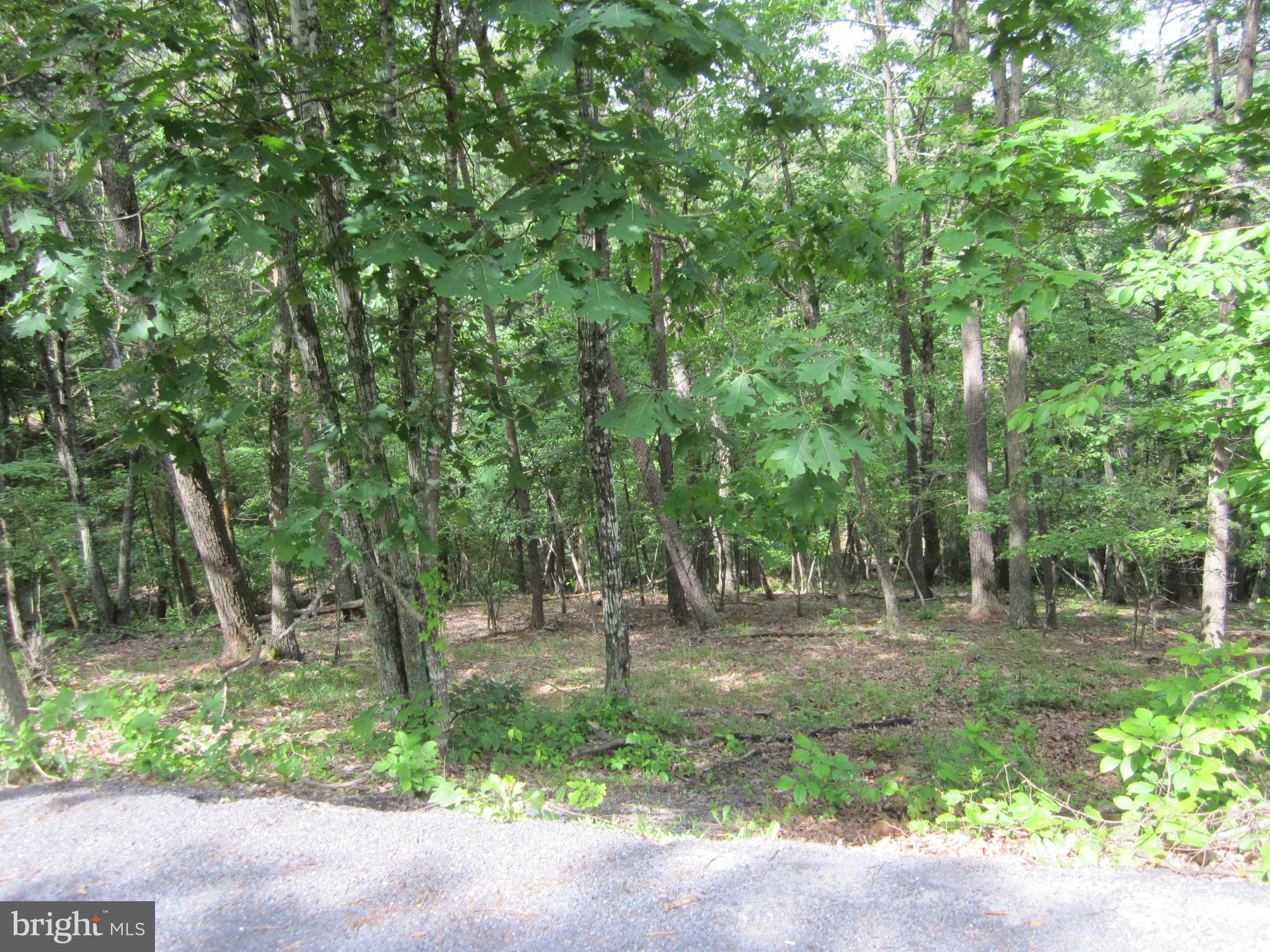 Laura Court Basye, VA 22810 - Photo 2 of 4