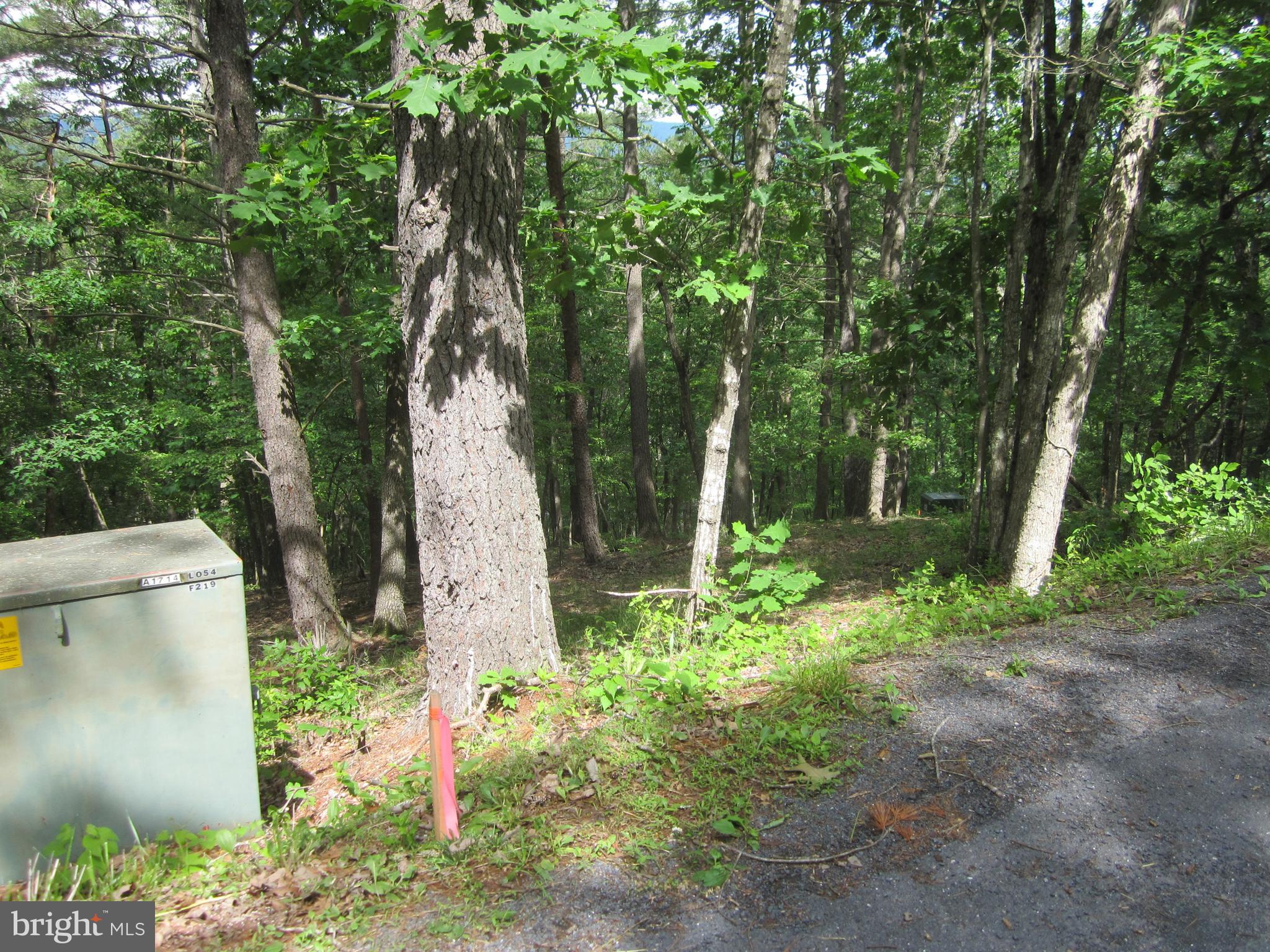 Laura Court Basye, VA 22810 - Photo 3 of 4