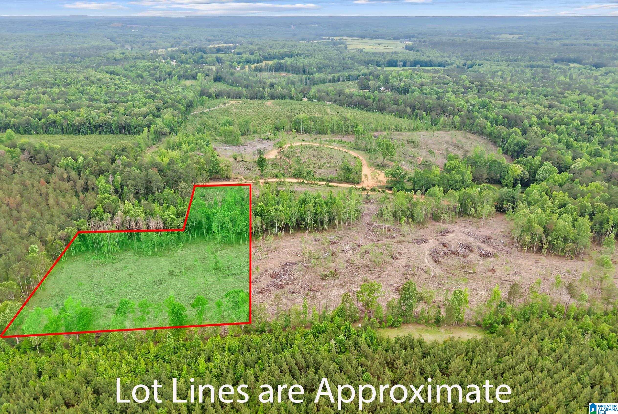 Active Road, Unit 4 Lawley, AL 36793 - Photo 1 of 12