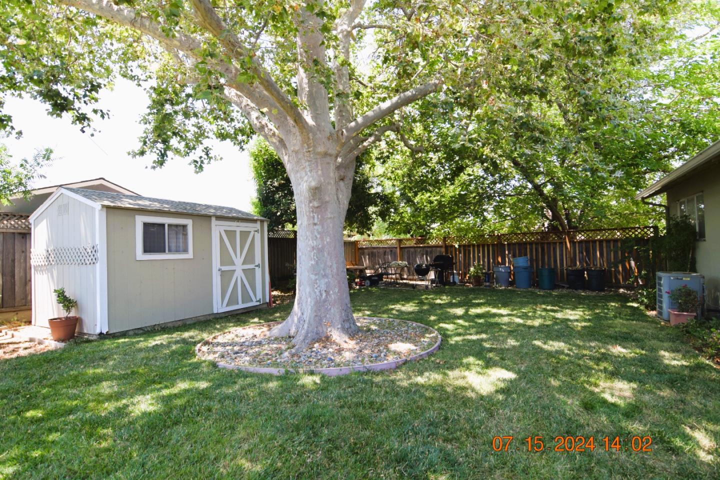 3909 Paladin Drive San Jose, CA 95124 - Photo 5 of 20 a tree in front of a white house