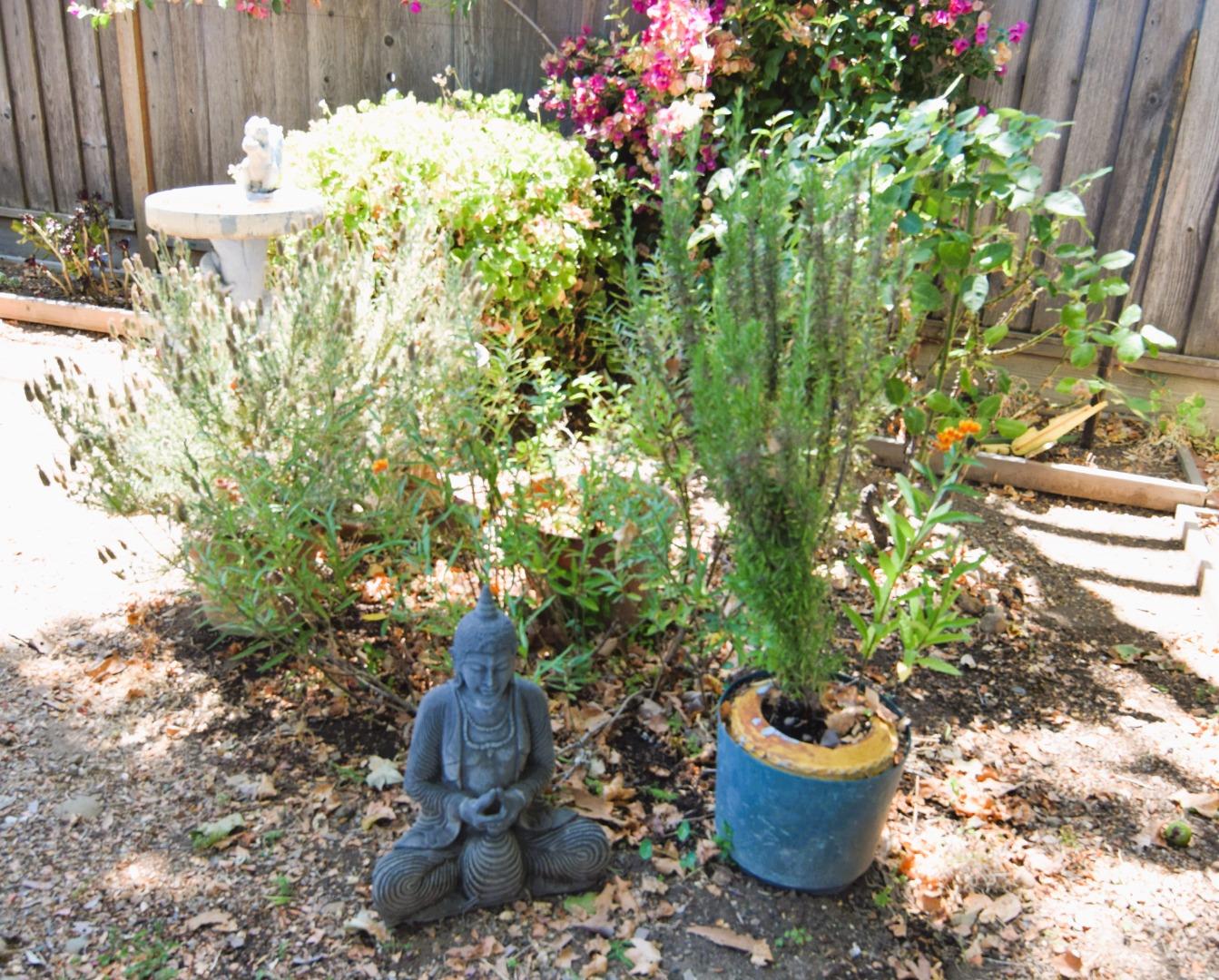 3909 Paladin Drive San Jose, CA 95124 - Photo 7 of 20 a view of a backyard with plants and flowers