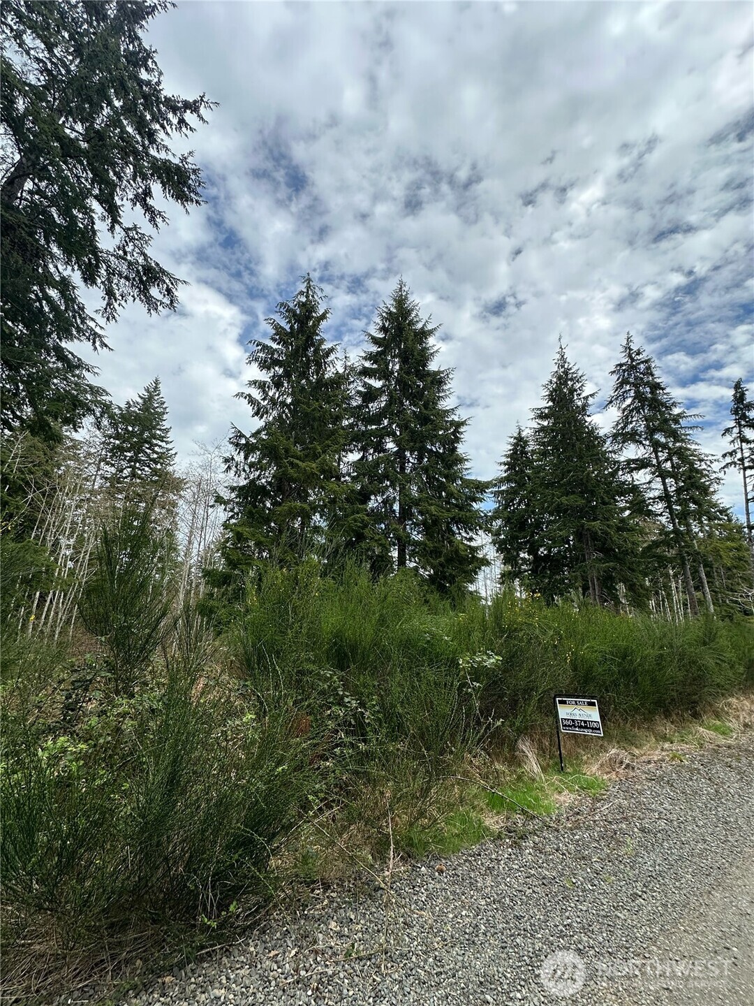 9945 Thomas Street Forks, WA 98331 - Photo 3 of 10 a view of a field with plants and trees