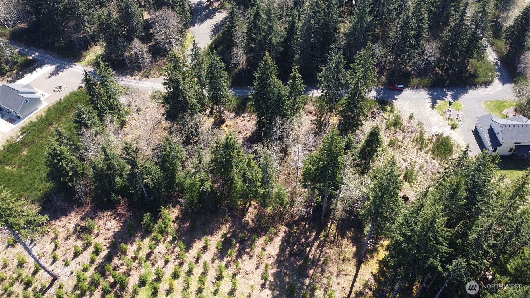 9945 Thomas Street Forks, WA 98331 - Photo 9 of 10