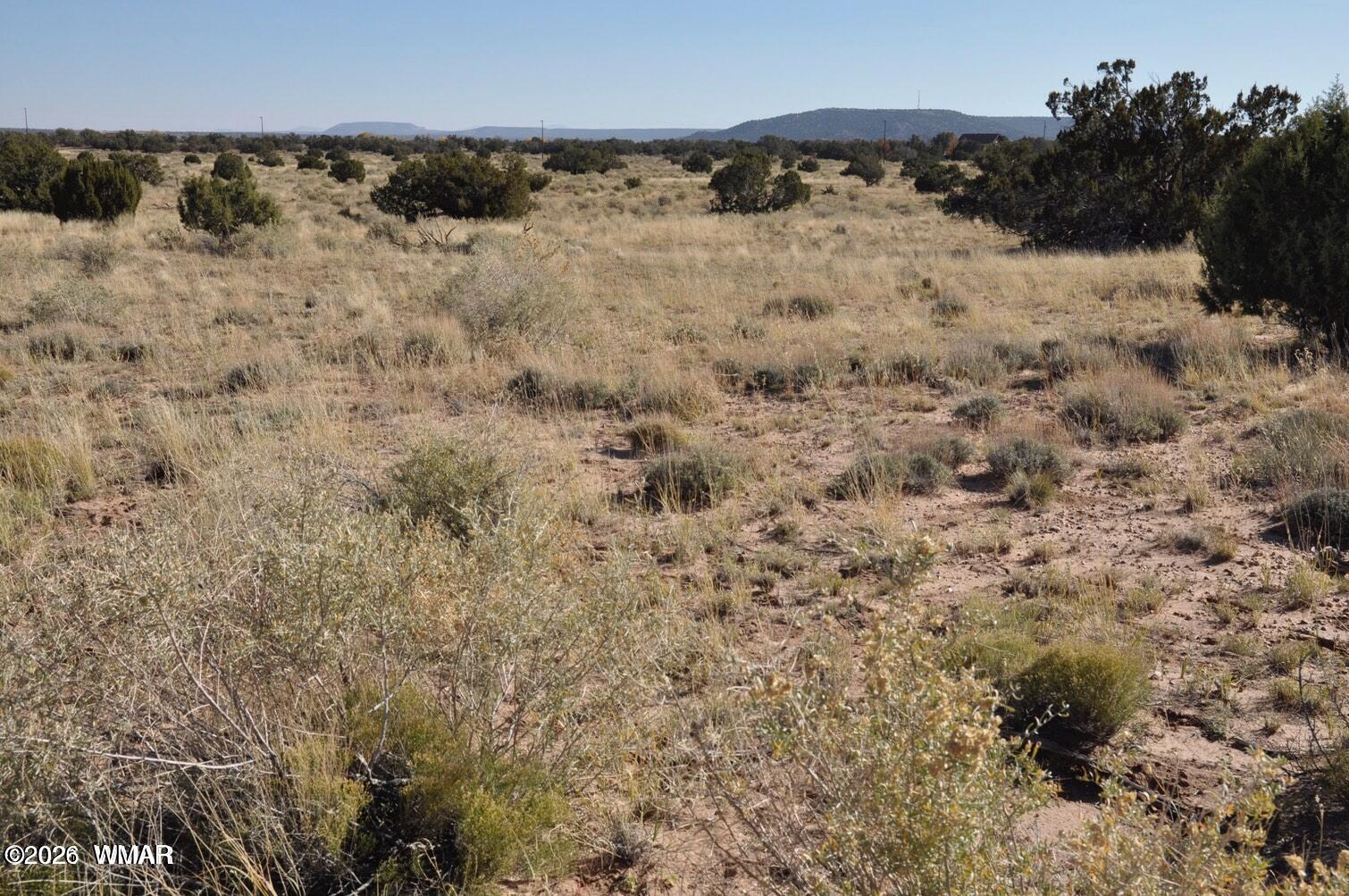 5039 Pima Road Snowflake, AZ 85937 - Photo 3 of 21