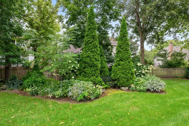 a view of a garden with a tree