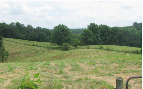 17.03 Harris Road Jasper, GA 30143 - Photo 1 of 1 Main View