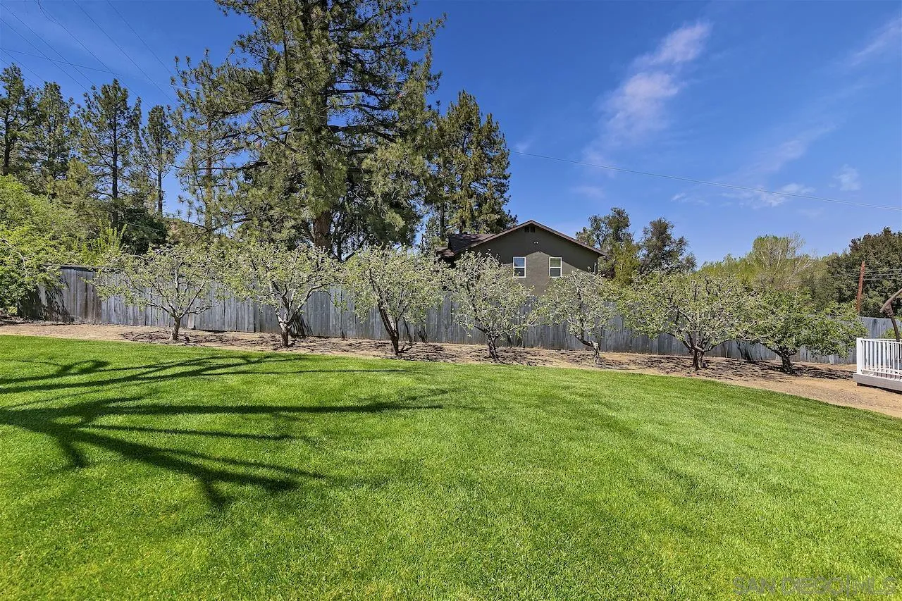 28659 Old Highway 80 Pine Valley, CA 91962 - Photo 50 of 55 a backyard of a house with lots of green space and outdoor seating