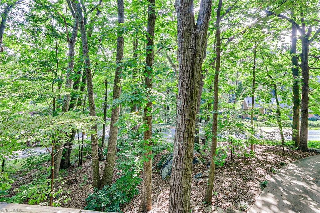 953 Amity Road Asheboro, NC 27203 - Photo 4 of 49 Gallery Image 4