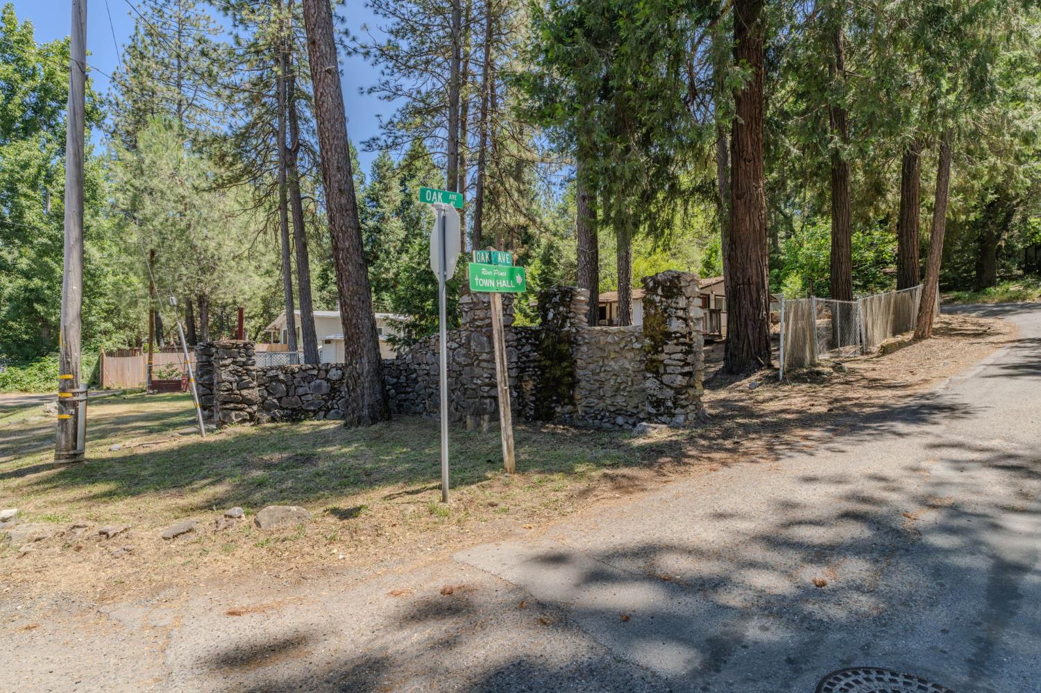 14876 Shenandoah Road River Pines, CA 95675 - Photo 36 of 37