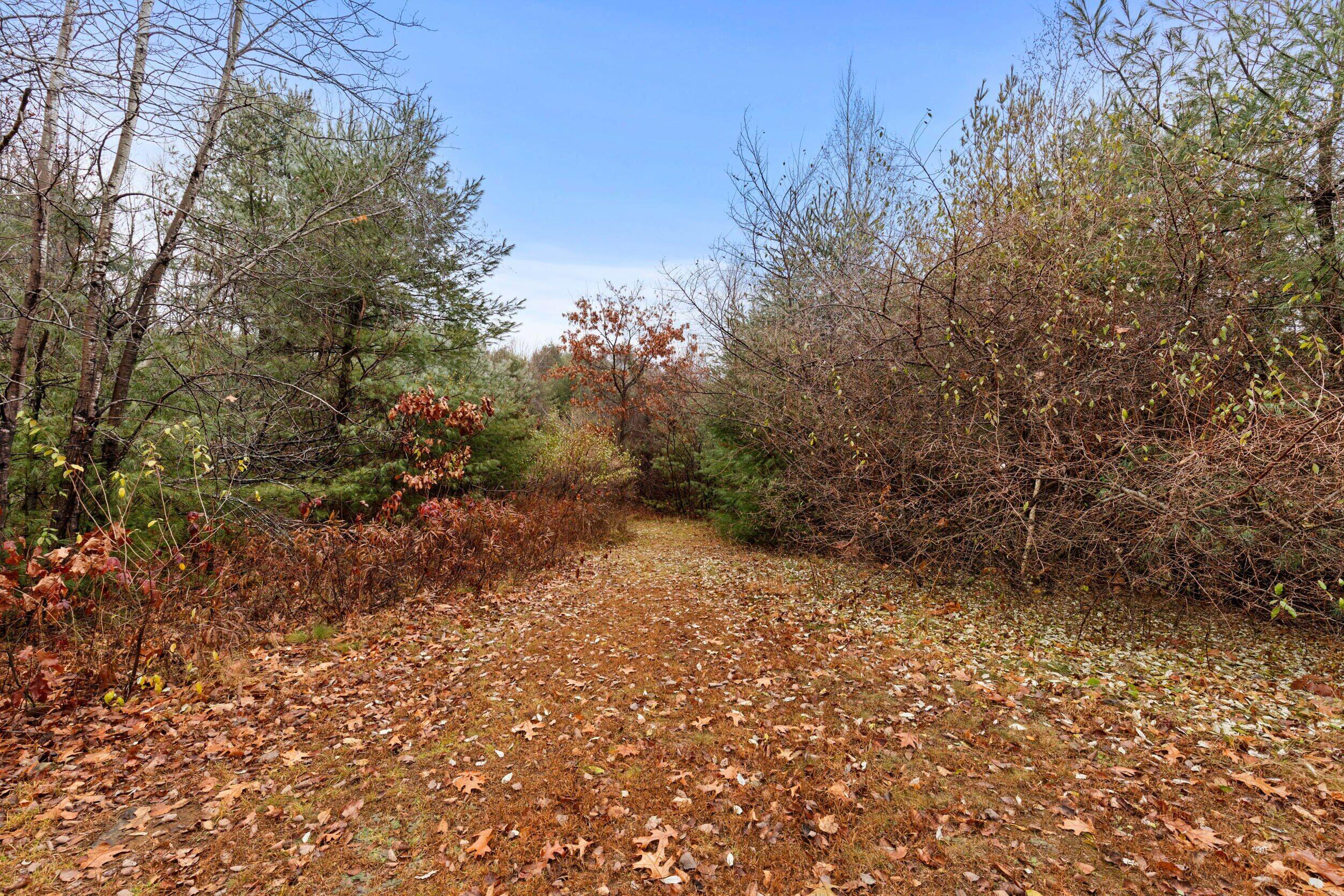 95 Skip Road Buxton, ME 04093 - Photo 49 of 52 95 skip rd, buxton-09