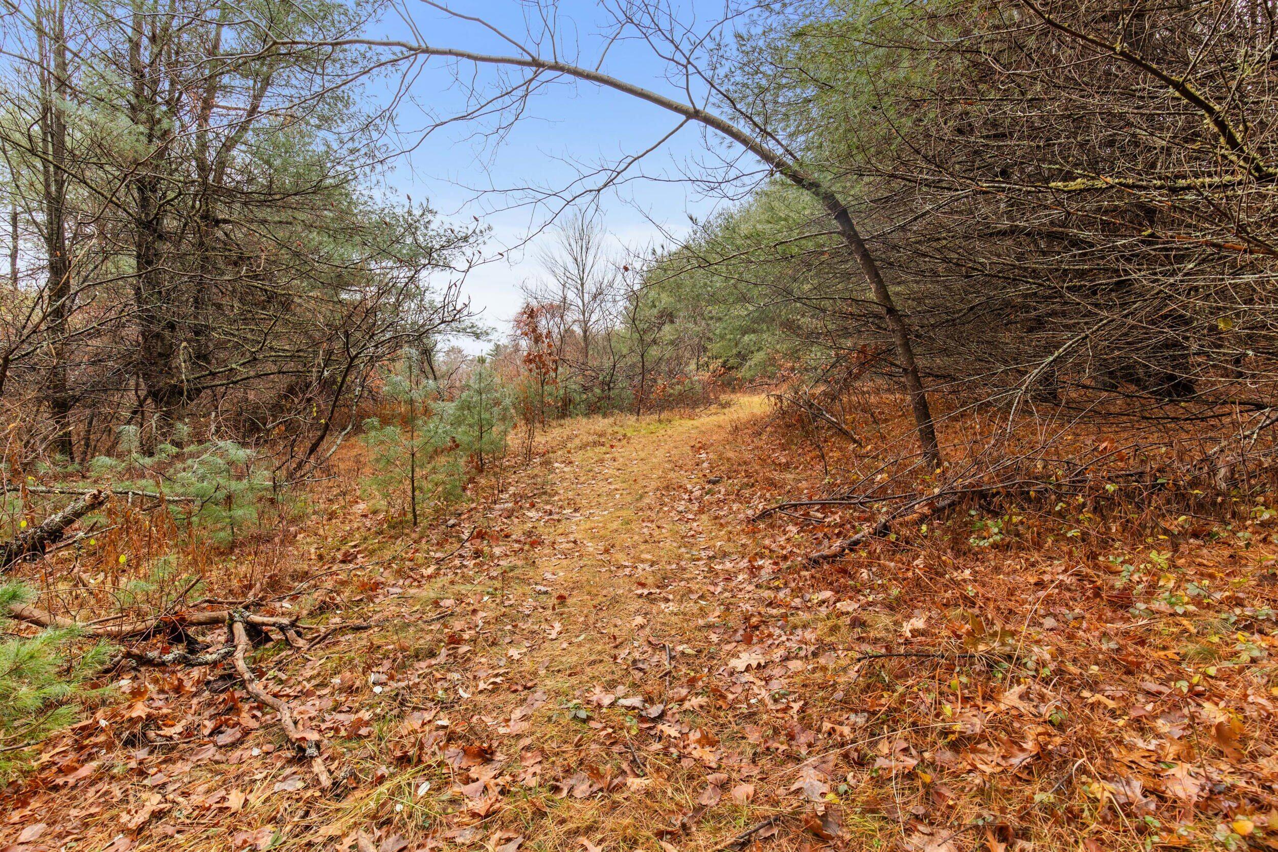 95 Skip Road Buxton, ME 04093 - Photo 51 of 52 95 skip rd, buxton-48